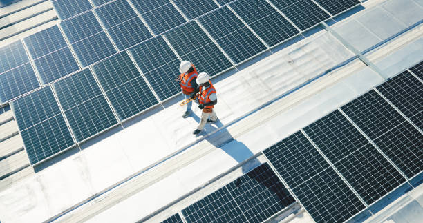Best Roof Moss and Algae Removal  in Monroeville, IN